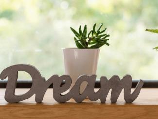 Idioms about Dreams and Ambitions | Figure Out English